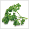 Parsley