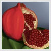 Pomegranate rind