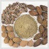 Triphala