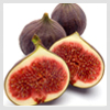 Fig