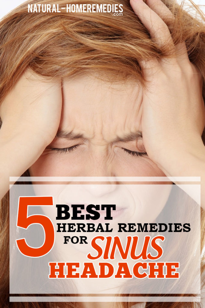 5 Best Herbal Remedies For Sinus Headache - Sinus Headache Treatments ...