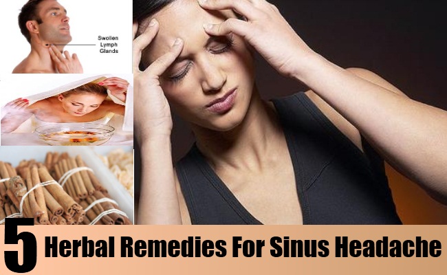 Herbal Remedies For Sinus Headache