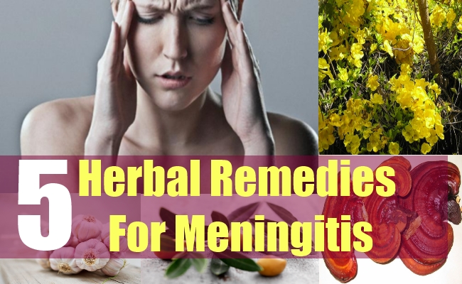 5 Herbal Remedies For Meningitis