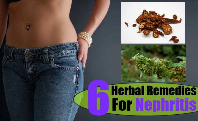 Nephritis Herbal Remedies Natural Treatments And Cures Natural Home Remedies And Supplements 