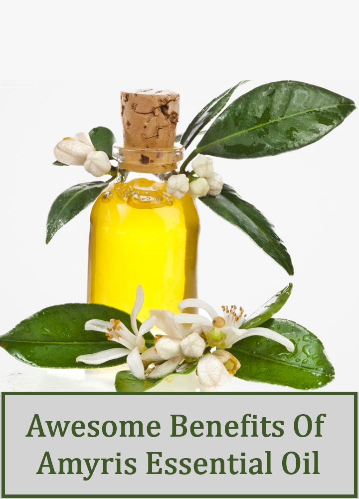 Awesome Benefits Of Amyris Essential Oil