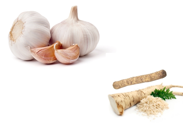 Garlic And Horseradish